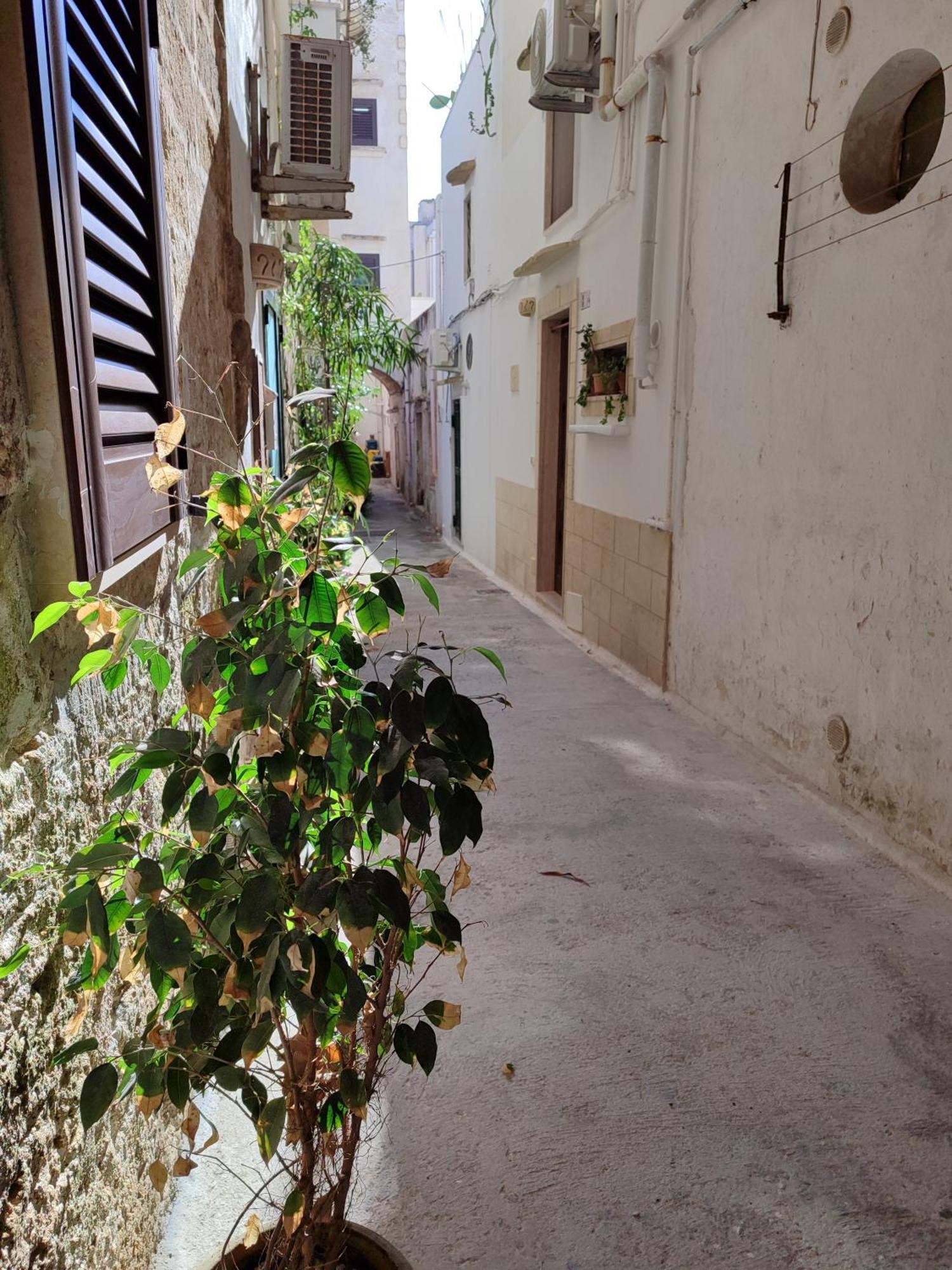 B&B Punta Cutieri Gallipoli Extérieur photo