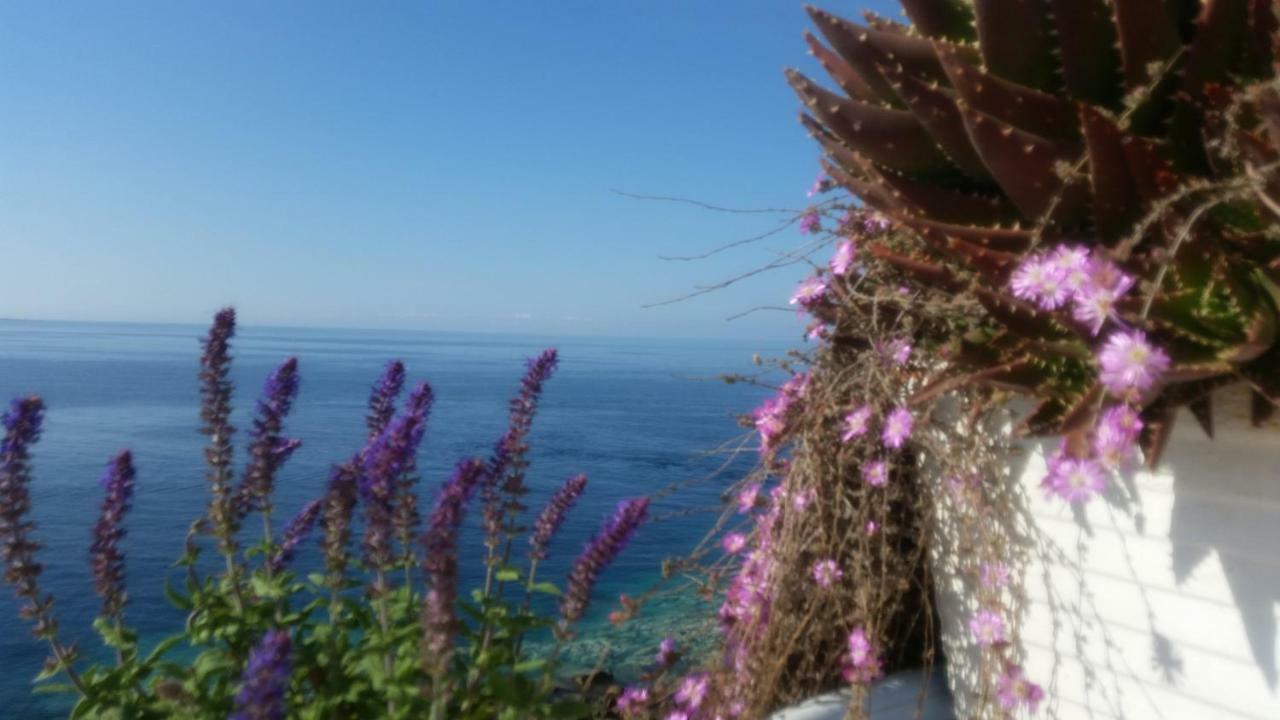 B&B Punta Cutieri Gallipoli Extérieur photo